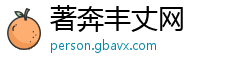 著奔丰丈网